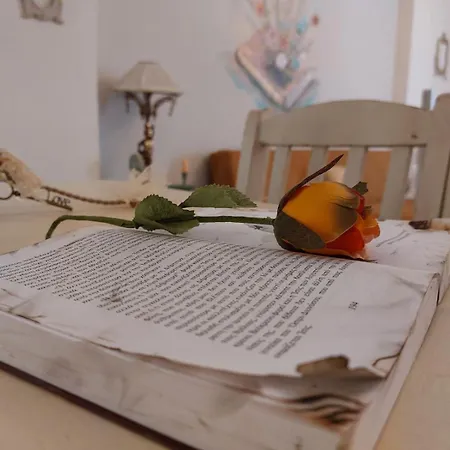 Apartment Antique Afytos